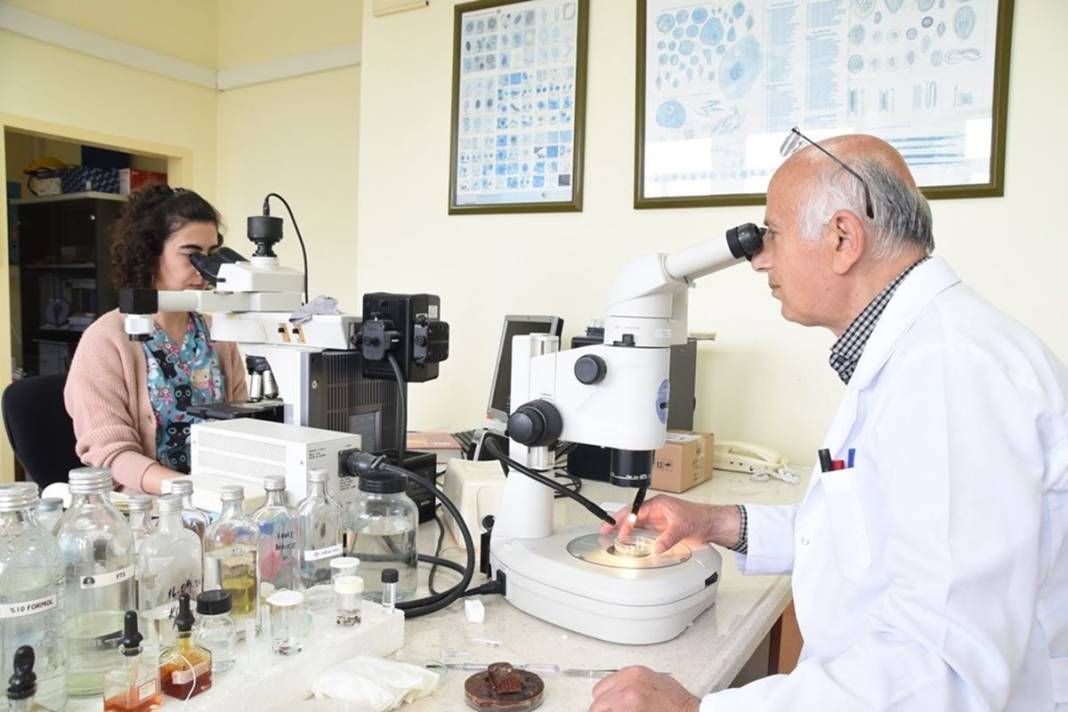 Bu illerde yaşayanlar dikkat: İnsanların gölgesini ve kokusunu algılıyor! Ölümcül olabilir 21